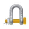 D SHAPED FORGED CHAIN SHACKLE WITH BOLT PIN