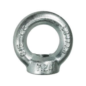 Galvanized Lifting Eye Bolt