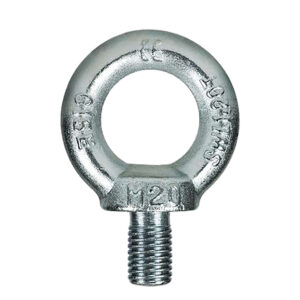 Galvanized Lifting Eye Bolt